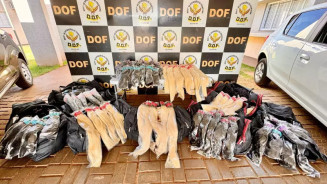 Polícia apreende carga de cabelo humano avaliada em R$ 3 milhões