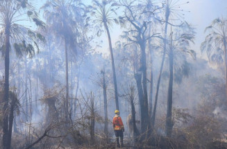 Bombeiros do Paraná e Goiás ajudam no combate a incêndios no Pantanal
