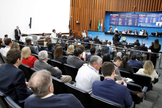 Foto: Wagner Guimarães/Alems