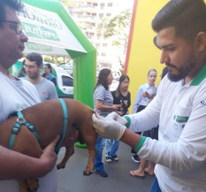Vacina antirrábica começa em Dourados de forma itinerante