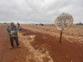 Estudo aponta que 12 mil hectares de terras pertence aos indígenas - Foto: Cimi