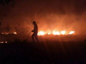 Incêndios leva Miranda a decretar estado de emergência