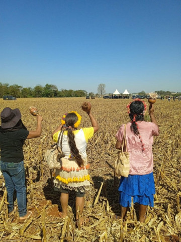 Indígenas e sitiantes estão frente à frente em uma das propriedades rurais ocupadas - Foto: Cimi