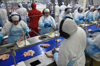 Taxa de desemprego recua em 15 estados no segundo trimestre