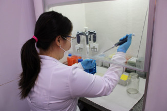 Começa hoje campanha para coletar DNA de familiares e ajudar na identificação de desaparecidos