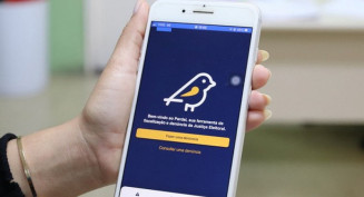 Denúncias podem ser feitas pelo aplicativo Pardal