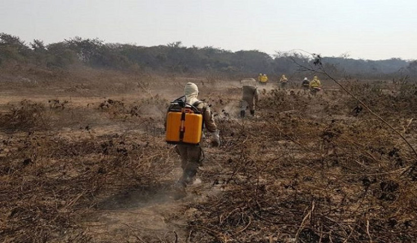Foto: Corpo de Bombeiros de MS