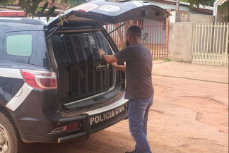 Agentes da Polícia Civil esteve nas ruas de Maracaju, cumprindo mandato de prisão. - Divulgação/ Polícia Civil