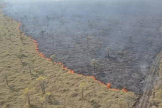Imagem aérea da queimada ocasionada em manutenção dos trilhos administrados pela Rumo Malha Oeste, em Corumbá (MS) - Divulgação/ Ibama