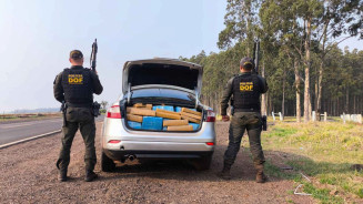 Motorista abandona carro com 1 tonelada de maconha na MS-164