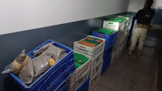 Polícia fecha entreposto com quase uma tonelada de drogas na fronteira