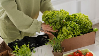 Dourados recebe oficina gratuita sobre cultivo de hortaliças em diferentes ambientes