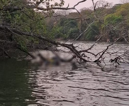 Dois corpos são encontrados em rio de MS em menos de 24 horas