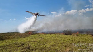 PF faz operação no Pantanal contra suspeitos de atear fogo a área da União para a criar gado