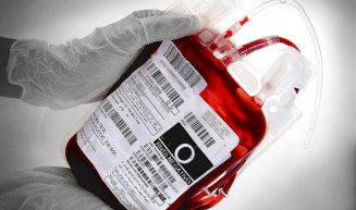 Testemunhas de Jeová podem recusar transfusão de sangue, decide STF