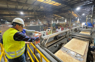 Vale da Celulose: Arauco aprova R$ 25 bi em investimento