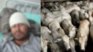 Pisoteado por bois, homem aguarda há 8 dias por vaga em hospital