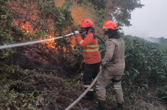 Fazendeiros levam multa de R$ 100 milhões por incêndio em 333 mil hectares