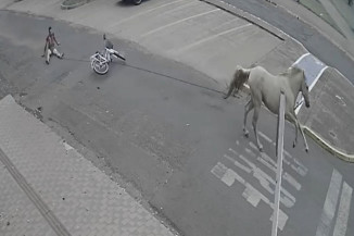 Polícia investiga se homem arrastado e esfolado vivo tentou furtar cavalo