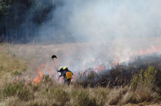 Raios podem ter provocado recentes incêndios no Pantanal