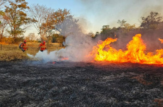 Mesmo após chuvas, Pantanal tem quatro focos de incêndios ativos
