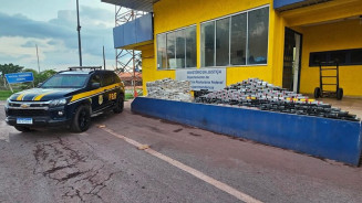 Polícia apreende 374 kg de cocaína em caminhão