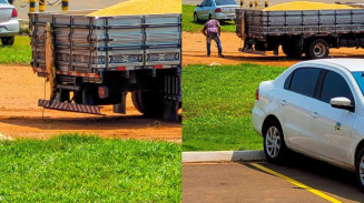 Homem leva multa por transportar jacaré amarrado em carroceria de caminhão