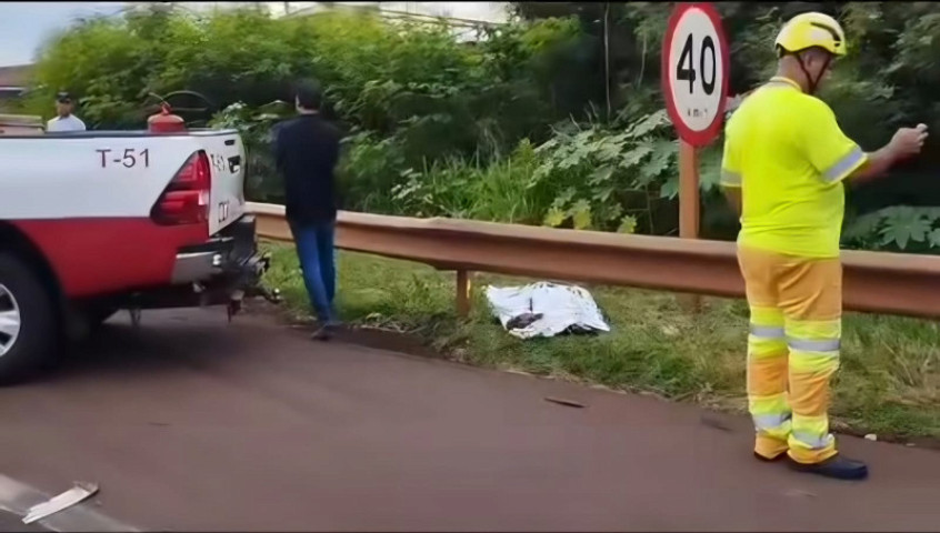 Ciclista tentava cruzar rodovia quando foi atingida por veículo - Foto: Reprodução/Sidlei Bronka