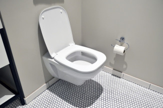 Problemas de sucção do vaso sanitário: causas e reparos