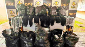 Polícia apreende mais de cem quilos de cabelo avaliado em R$ 920 mil