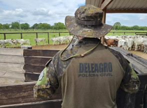Gado avaliado em R$ 400 mil é encontrado em leilão