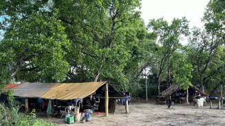 Trabalhadores em situação de escravidão são resgatados no Pantanal