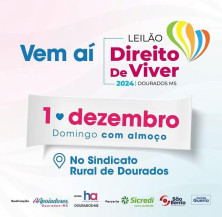 Leilão beneficente ao Hospital de Amor de Dourados será no domingo