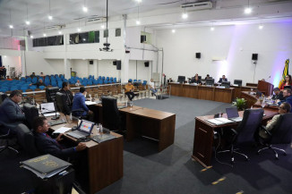 Câmara aprova projeto de lei que institui  o Plano Municipal pela Primeira Infância