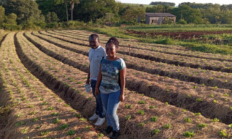 IFMS oferta formação técnica em Agricultura a professores moçambicanos
