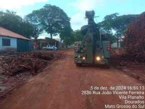 Defesa Civil conclui retirada de destroços de seringueira centenária