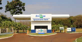 Embrapa abre inscrições para concurso com vagas para MS; salário até R$ 12,8 mil
