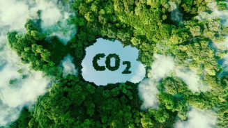 Lula sanciona lei que regula mercado de carbono no Brasil