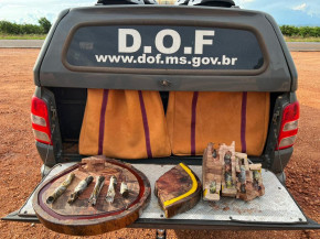 DOF apreende haxixe dentro de tábuas de carne em Ponta Porã