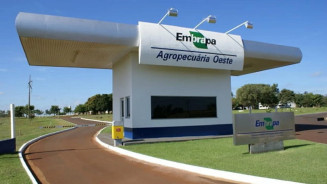 Concurso da Embrapa segue com inscrições abertas; salário até R$ 12,8 mil