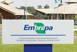 Embrapa prorroga inscrições em concurso com salário de até R$ 12,8 mil