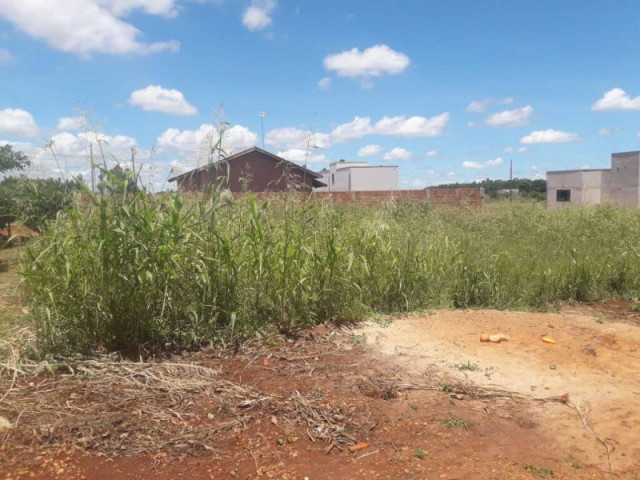 Com a chuvarada dos últimos dias, muitos terrenos estão com mato alto