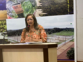 Ex-vice-prefeita é acusada de homofobia: 'LGBT cuidar de crianças?'