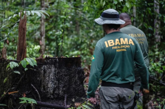 Ibama terá concurso  com oito vagas para MS e salário a partir de R$ 9,9 mil