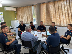 Organismos municipais e de segurança definem critérios  para atender chamados de remoção de árvores com mais agilidade em Dourados – Foto: A. Frota