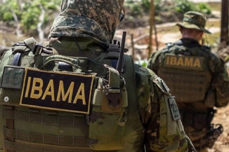 Ibama está com inscrições abertas para 460 vagas em concurso