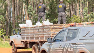 Apreensão foi realizada por policiais do DOF - Foto: DOF