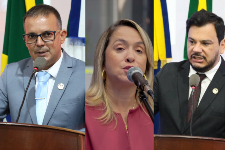 Inspetor Cabral, Lia Nogueira e Marcelo Mourão levantaram bandeira sobre segurança para os profissionais de saúde - Foto: Montagem