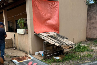 Cachorro com leishmaniose é sacrificado após ser tratado com dipirona