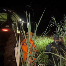 Bombeiro e policiais militares na mata onde homens se perderam (Foto: Rio Brilhante em Tempo Real)